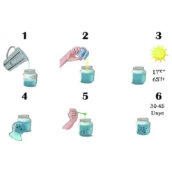 Aqua Dragons - Viaje Al Periodo Jurásico -LEXIBOOK || Harry Potter || Robotime Ventas medias 1119