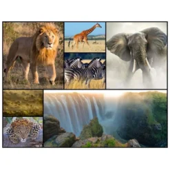 WWF - África - Puzzle 48 Piezas 6 WWF - África - Puzzle 48 Piezas -LEXIBOOK || Harry Potter || Robotime Ventas medias 1224