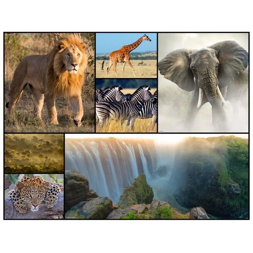 WWF - África - Puzzle 48 Piezas 3 WWF - África - Puzzle 48 Piezas - Imagen 3