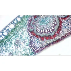 Cámara Ocular Bresser MikrOkular Full HD 7 Cámara Ocular Bresser MikrOkular Full HD -LEXIBOOK || Harry Potter || Robotime Ventas medias 1269