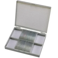 Bresser Muestras De Histología Preparadas Para Microscopio